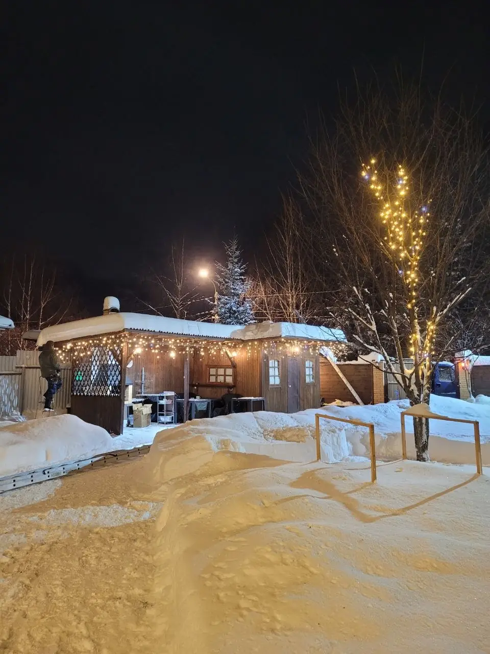 Беседка с гирляндой и подсвеченное дерево